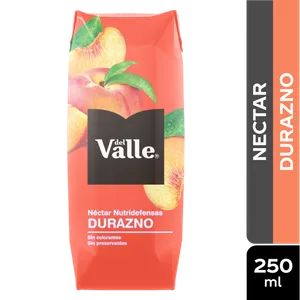 Jugo del Valle 300ml